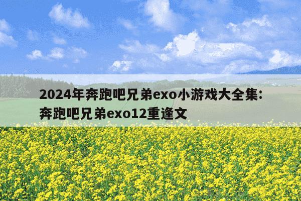 2024年奔跑吧兄弟exo小游戏大全集:奔跑吧兄弟exo12重逢文