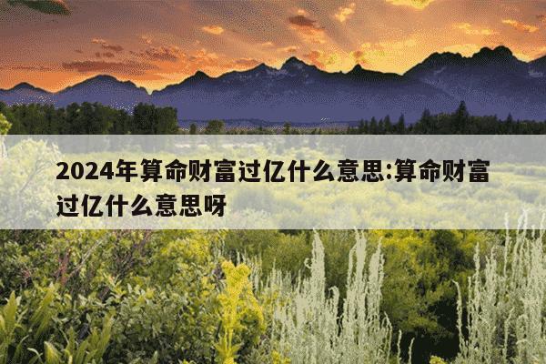 2024年算命财富过亿什么意思:算命财富过亿什么意思呀