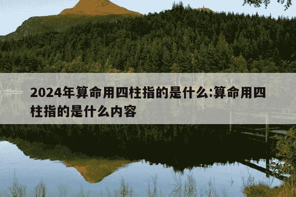 2024年算命用四柱指的是什么:算命用四柱指的是什么内容