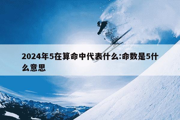 2024年5在算命中代表什么:命数是5什么意思