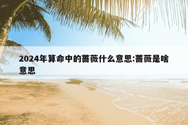 2024年算命中的蔷薇什么意思:蔷薇是啥意思