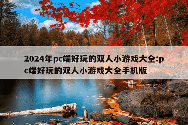 2024年pc端好玩的双人小游戏大全:pc端好玩的双人小游戏大全手机版