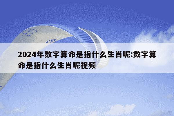 2024年数字算命是指什么生肖呢:数字算命是指什么生肖呢视频