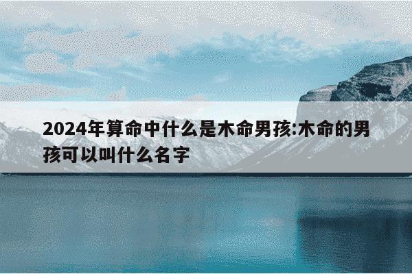 2024年算命中什么是木命男孩:木命的男孩可以叫什么名字