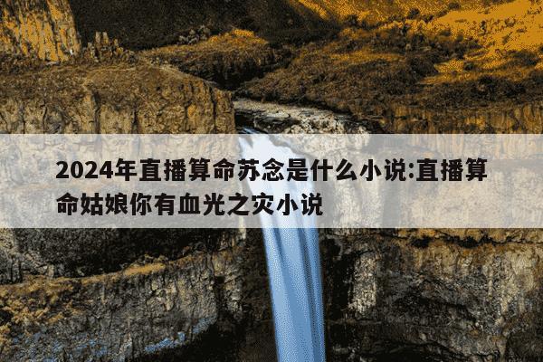 2024年直播算命苏念是什么小说:直播算命姑娘你有血光之灾小说