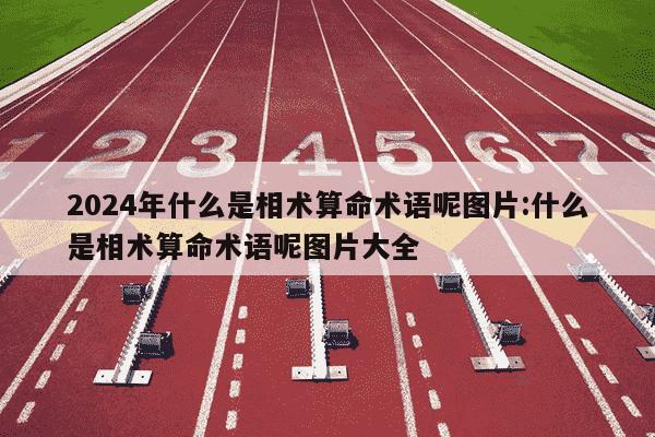 2024年什么是相术算命术语呢图片:什么是相术算命术语呢图片大全