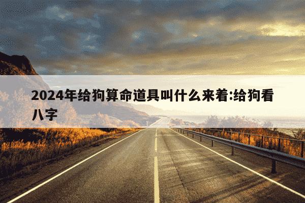 2024年给狗算命道具叫什么来着:给狗看八字