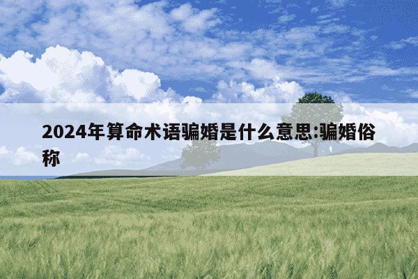 2024年算命术语骗婚是什么意思:骗婚俗称