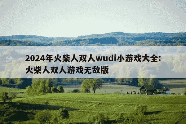 2024年火柴人双人wudi小游戏大全:火柴人双人游戏无敌版