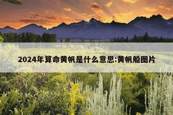 2024年算命黄帆是什么意思:黄帆船图片