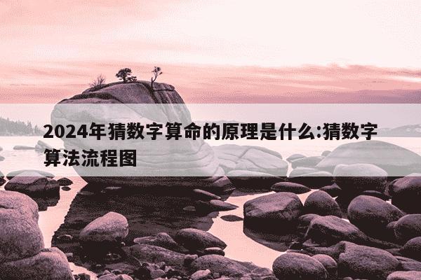 2024年猜数字算命的原理是什么:猜数字算法流程图