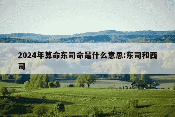 2024年算命东司命是什么意思:东司和西司