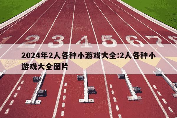 2024年2人各种小游戏大全:2人各种小游戏大全图片