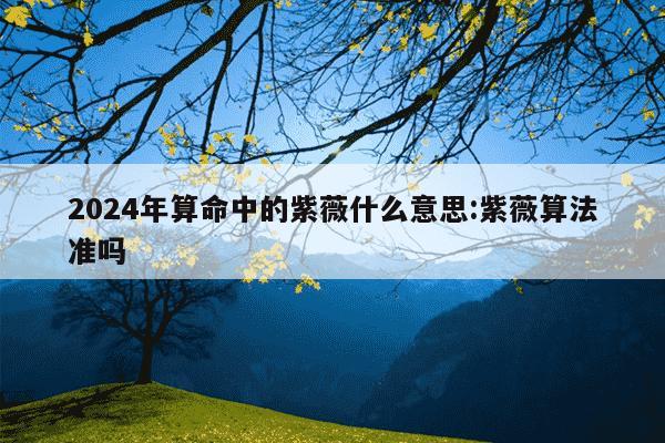 2024年算命中的紫薇什么意思:紫薇算法准吗