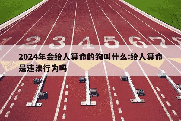 2024年会给人算命的狗叫什么:给人算命是违法行为吗