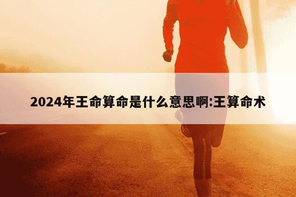 2024年王命算命是什么意思啊:王算命术