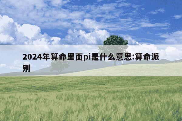 2024年算命里面pi是什么意思:算命派别