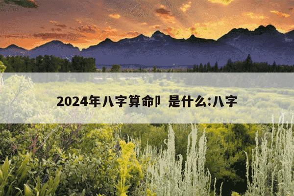 2024年八字算命卩是什么:八字