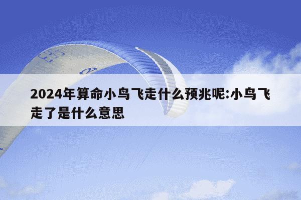 2024年算命小鸟飞走什么预兆呢:小鸟飞走了是什么意思