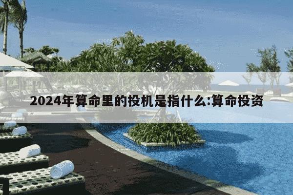 2024年算命里的投机是指什么:算命投资