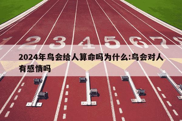 2024年鸟会给人算命吗为什么:鸟会对人有感情吗