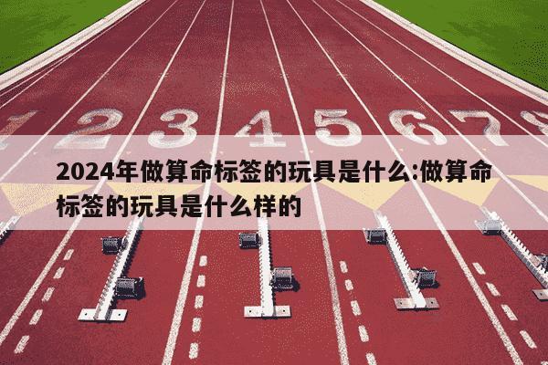 2024年做算命标签的玩具是什么:做算命标签的玩具是什么样的