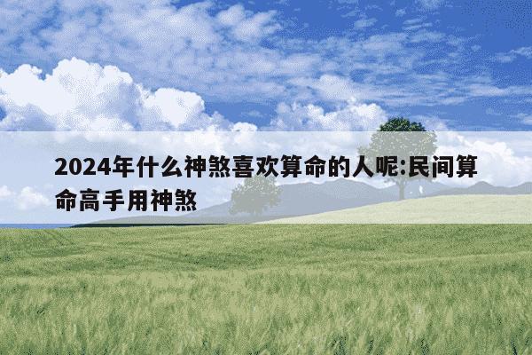 2024年什么神煞喜欢算命的人呢:民间算命高手用神煞