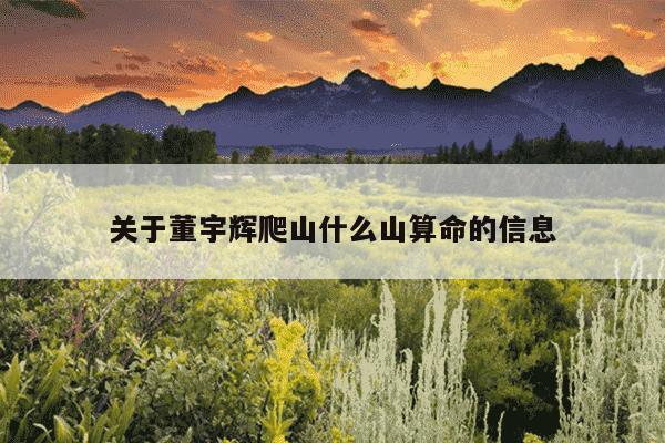 关于董宇辉爬山什么山算命的信息