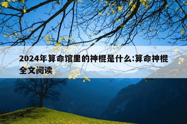 2024年算命馆里的神棍是什么:算命神棍全文阅读