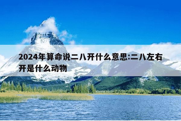 2024年算命说二八开什么意思:二八左右开是什么动物