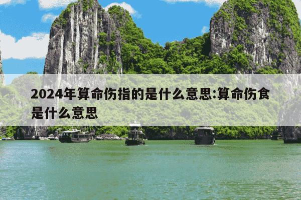 2024年算命伤指的是什么意思:算命伤食是什么意思