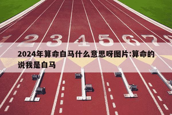 2024年算命白马什么意思呀图片:算命的说我是白马