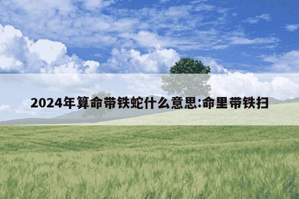 2024年算命带铁蛇什么意思:命里带铁扫