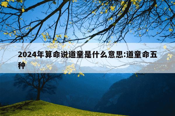 2024年算命说道童是什么意思:道童命五种