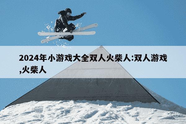 2024年小游戏大全双人火柴人:双人游戏,火柴人