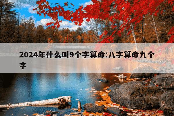 2024年什么叫9个字算命:八字算命九个字